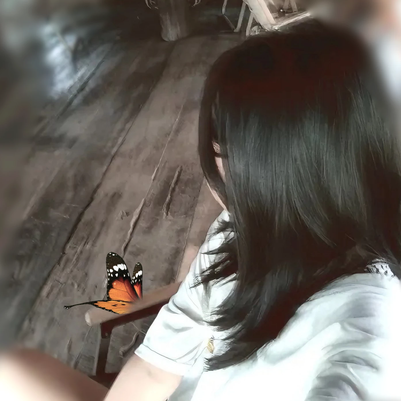 Haryna