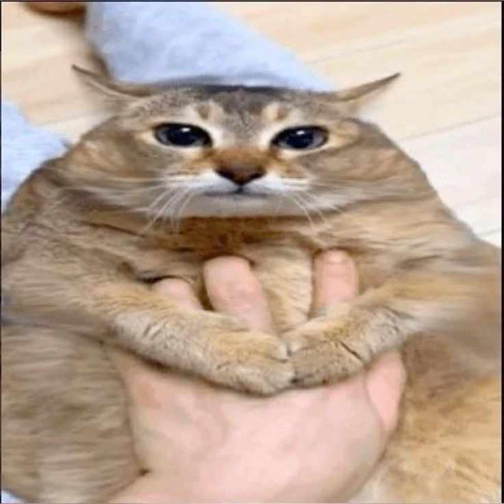 Mochi