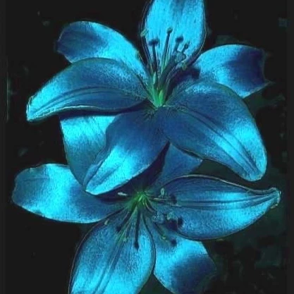 mazrix 