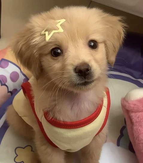 Marco