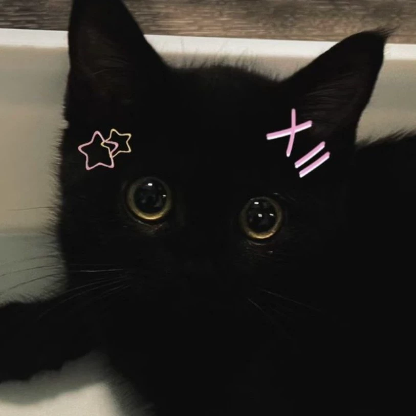 Isa