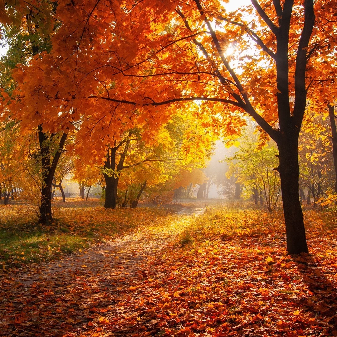 Autumn