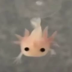 Miuy