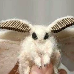 Σ(´д｀ノ)ノﾞ