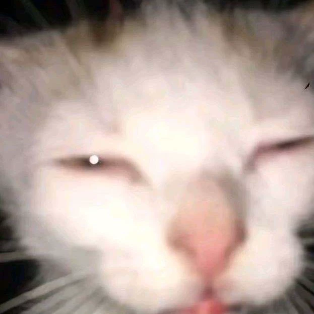 Kuni