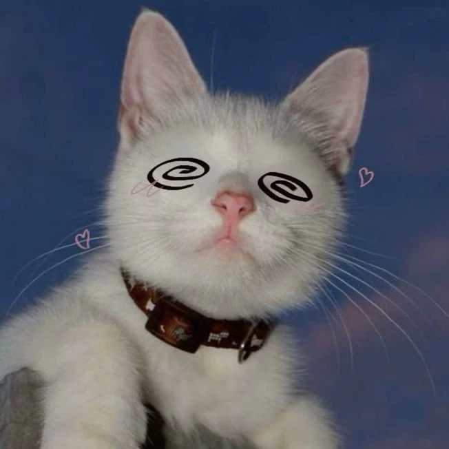 Tokko