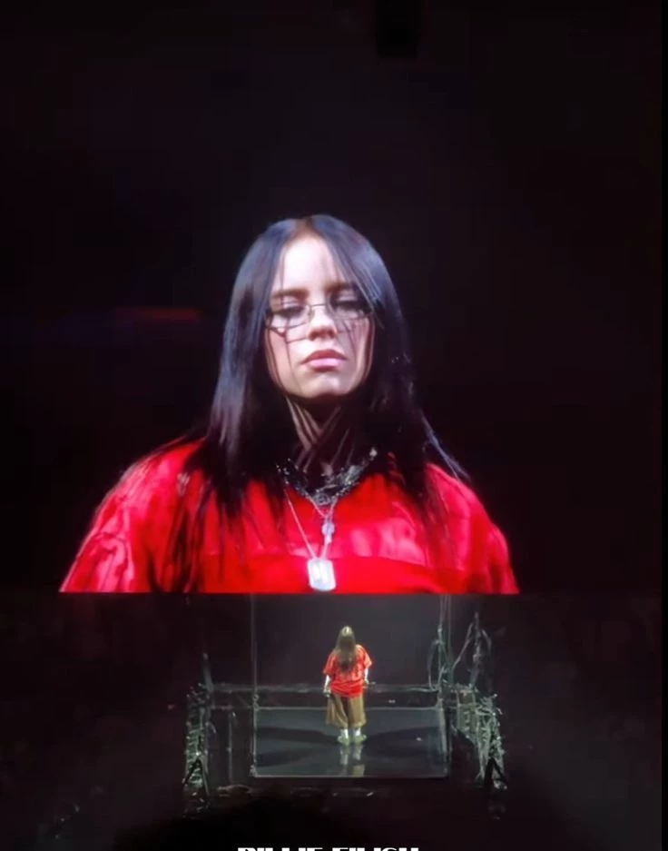 Billie Eilish Pirate Baird O'Connell  thumbnail