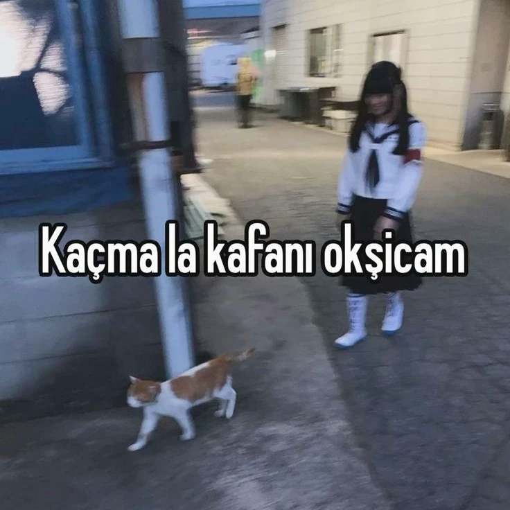 Niwasa