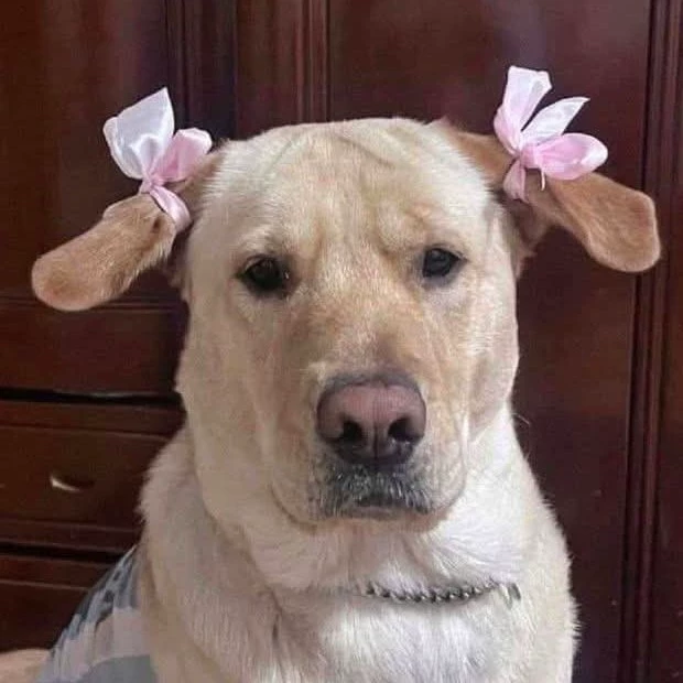 Dee
