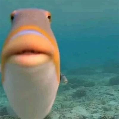 Fishy thumbnail