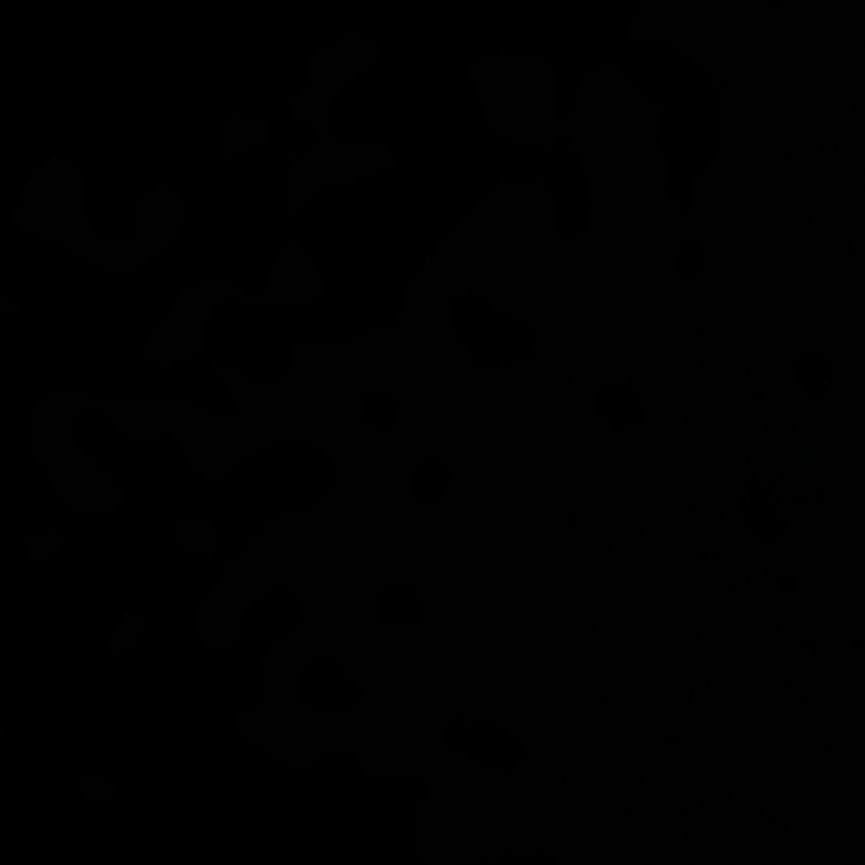 A man from the fog