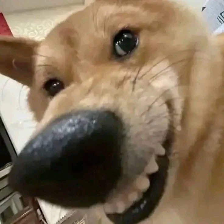 Long Xuyên 