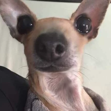 Juana