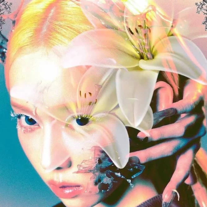 nicxwc001