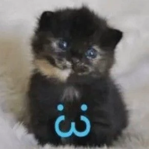 𝐴𝑟𝑢𝑘𝑦𐚁๋࣭⭑ֶָ֢