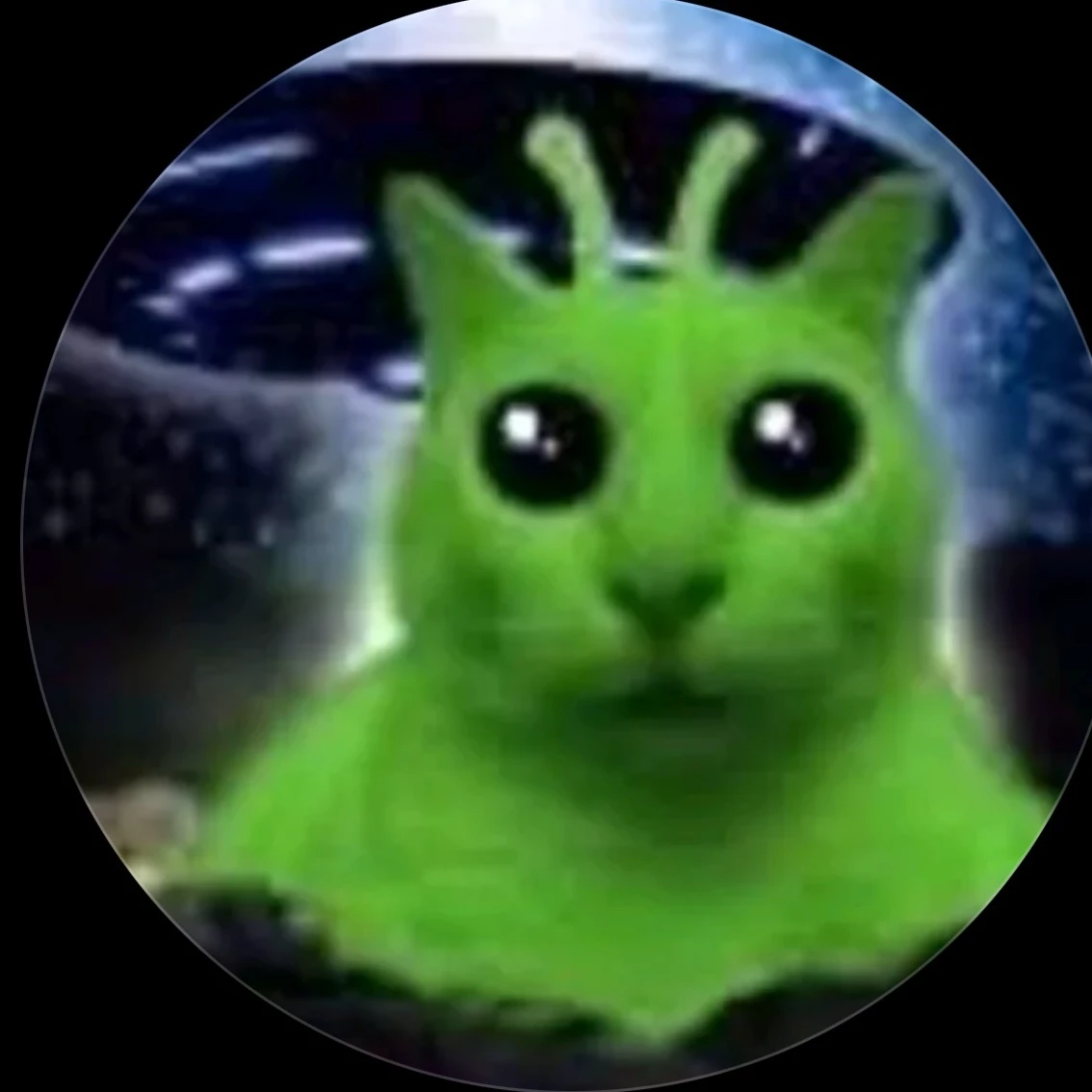 JetKiwi