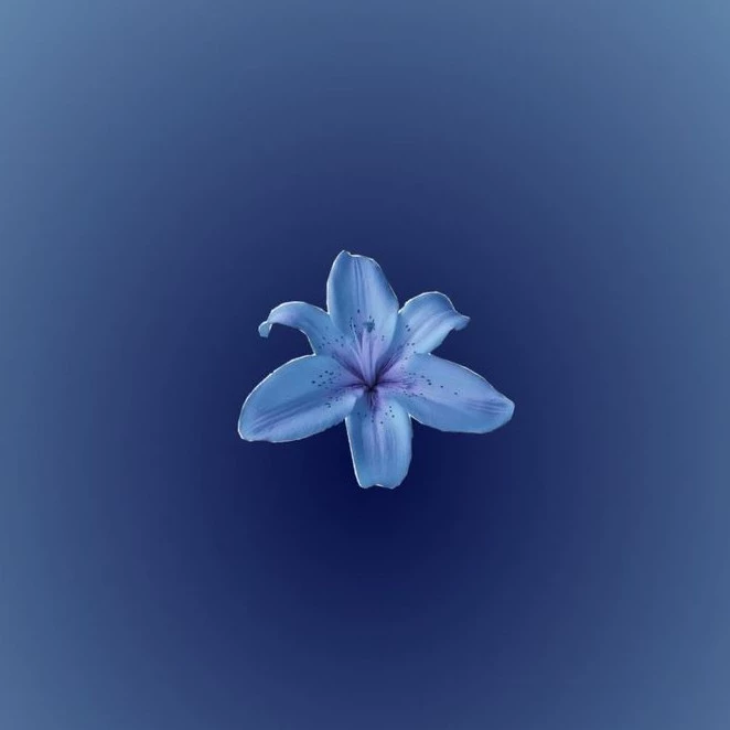 Vishaka