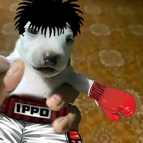 Nodog
