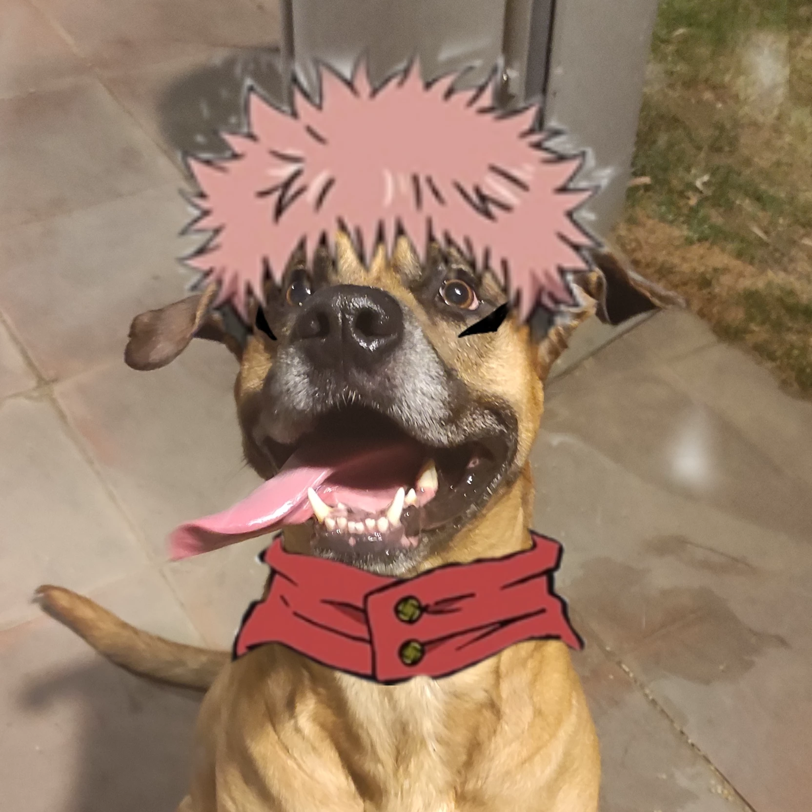 𝐋𝐨𝐠𝐚𝐧𝐱𝐬