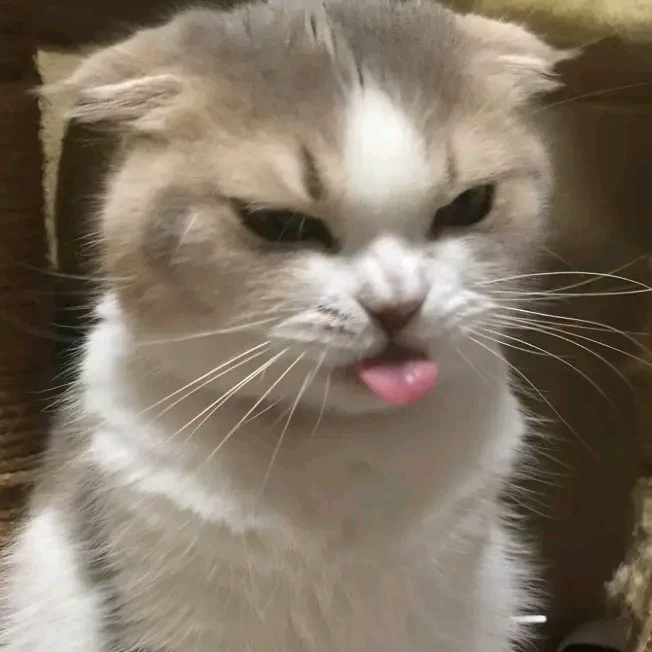 Yuo