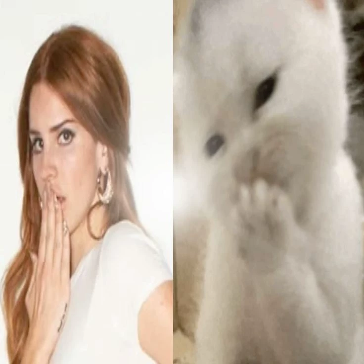 Mimi
