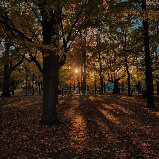 Z☆ynepp🍂🍁