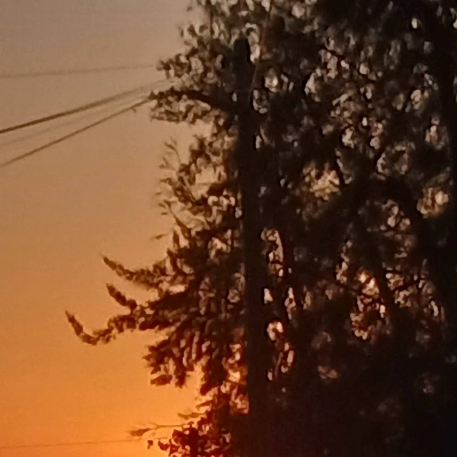 Jađerrrlo
