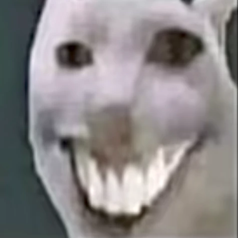 Volg