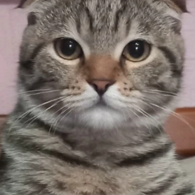 Джен