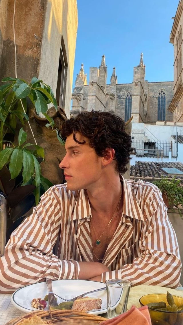 Shawn Mendes. thumbnail