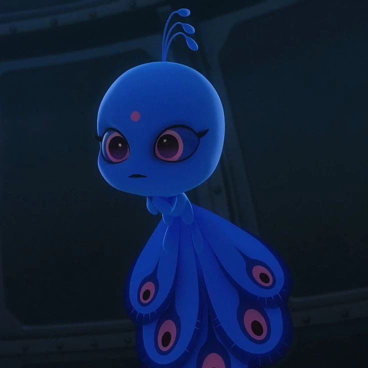 Duusu thumbnail