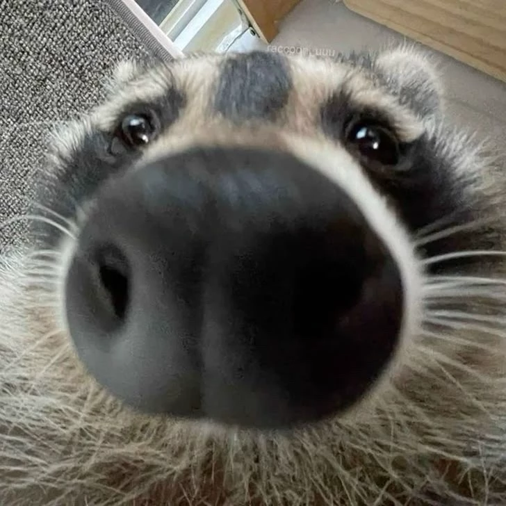 Olaf