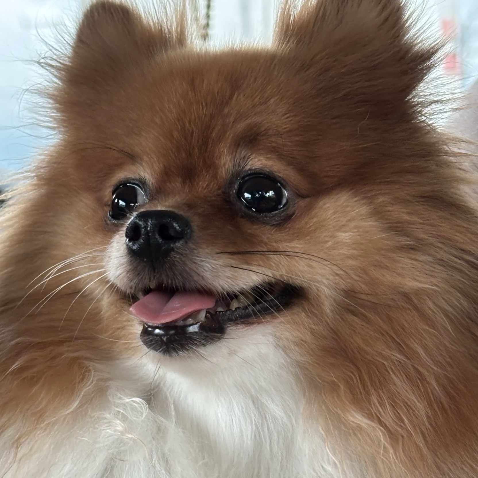 Esther