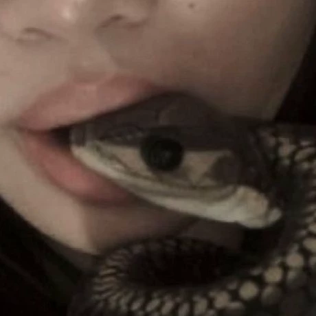 Вита