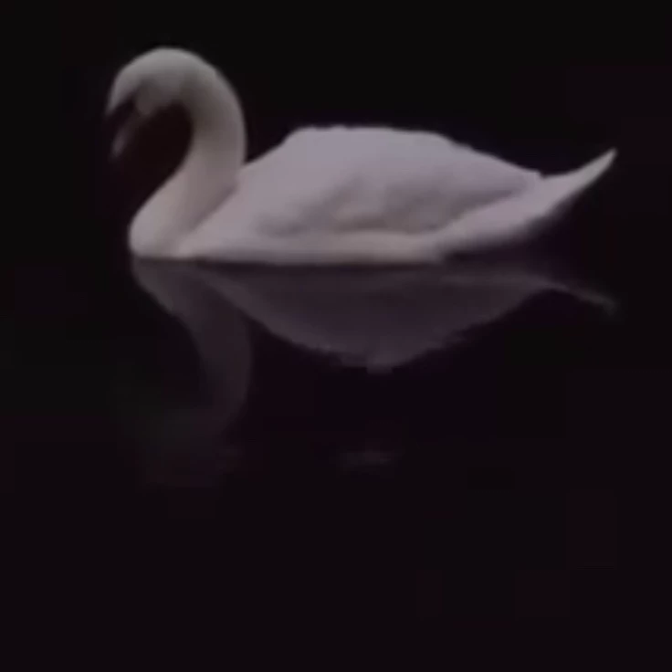 EiloSh