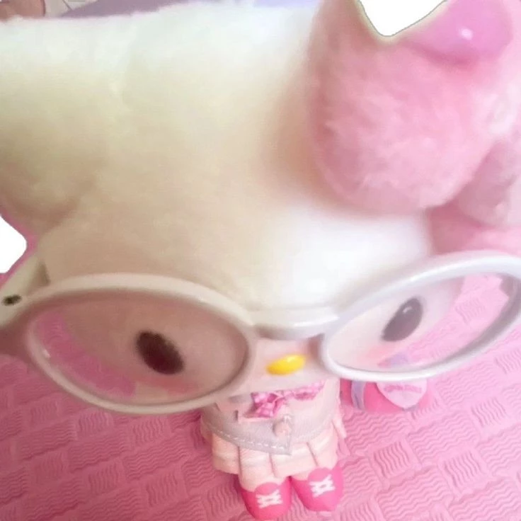 Pօℓคr♡🐻💤