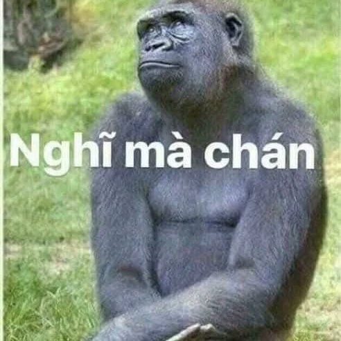 Không tên 