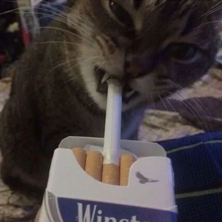 Kwiin