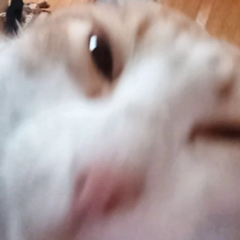 ♡