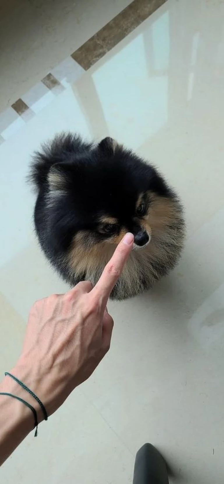Cicilᥫ᭡