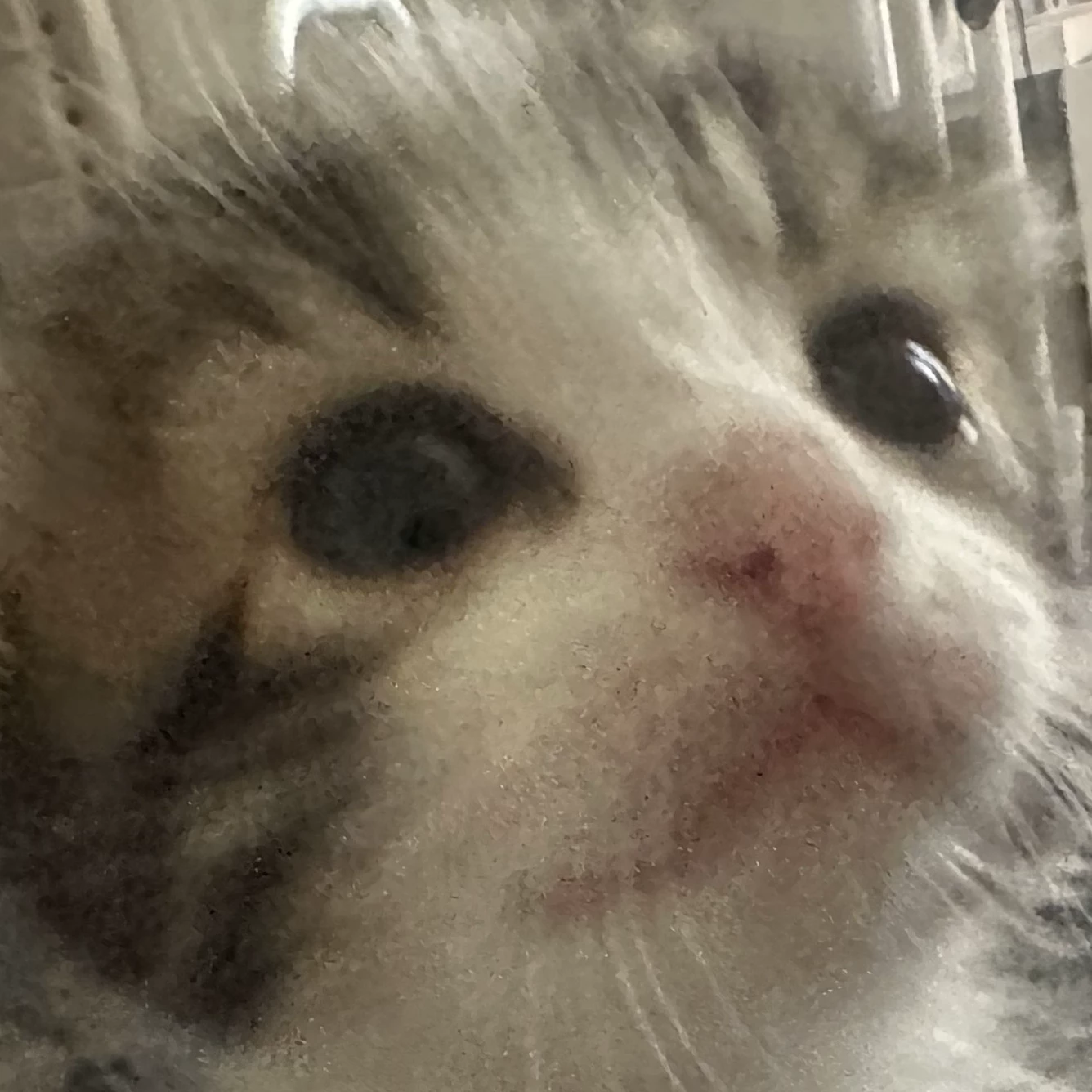 ?