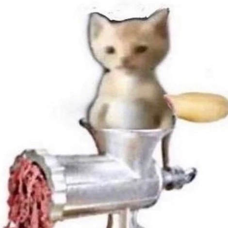 Ken