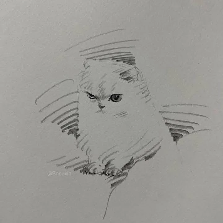 Ryn