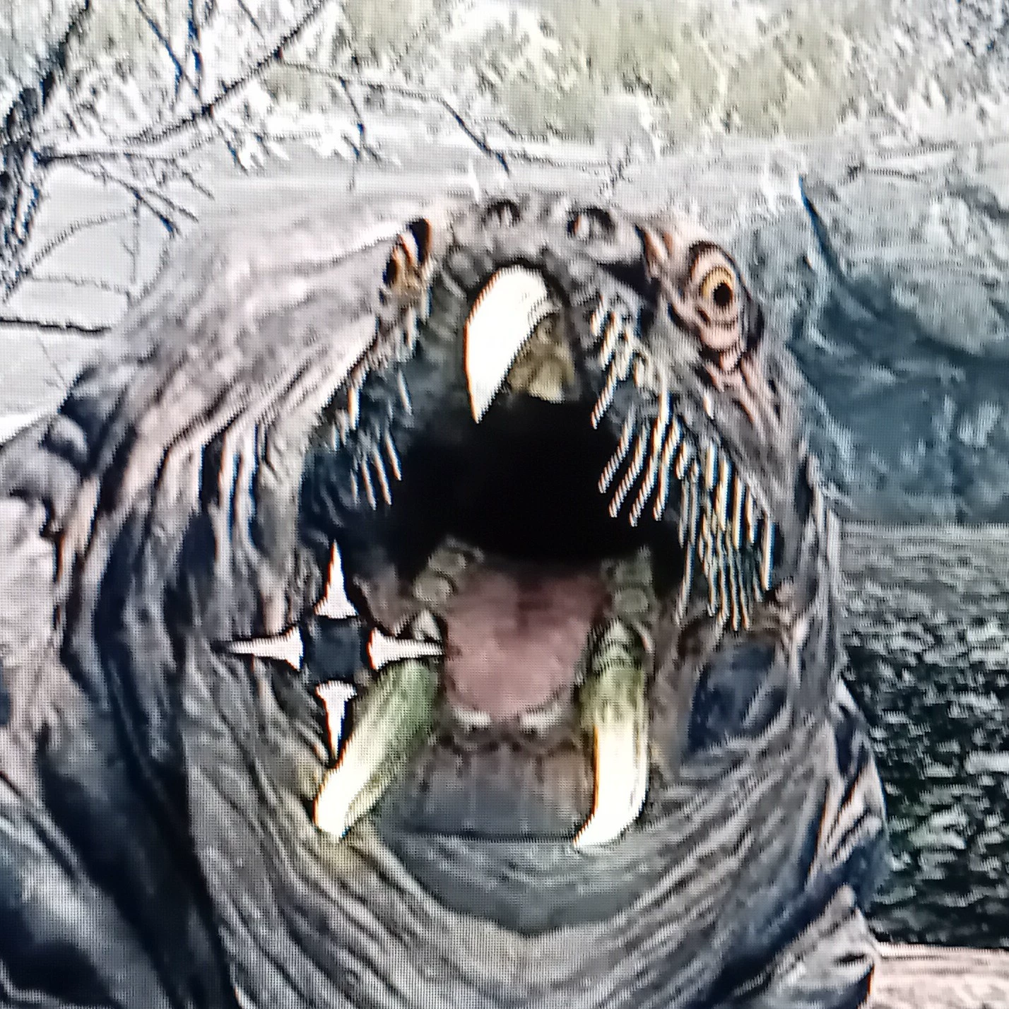 Emochi Voyager