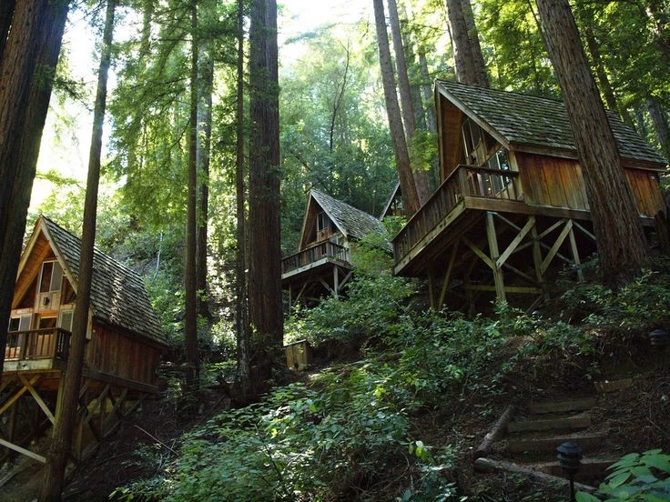 Campamento Silver Lake thumbnail