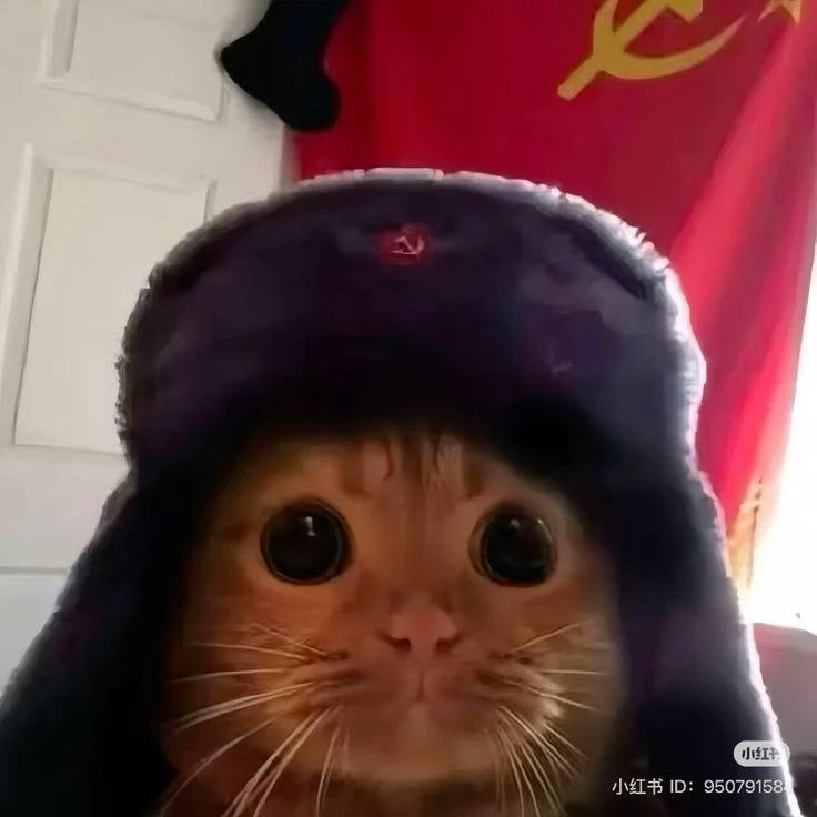 Snoozeyyyy 