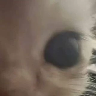 Na