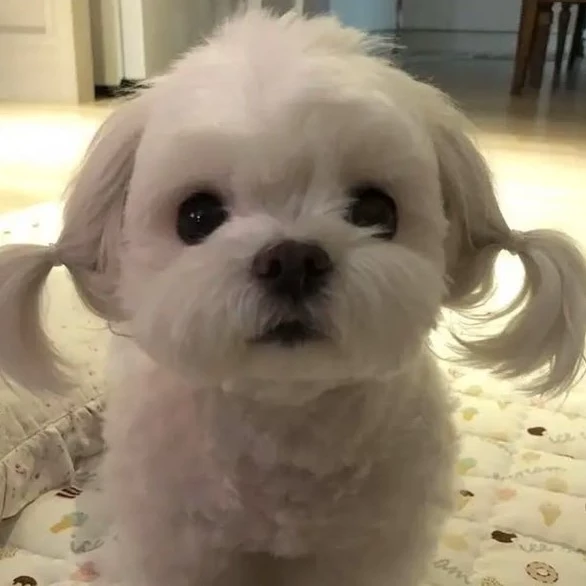 Molly
