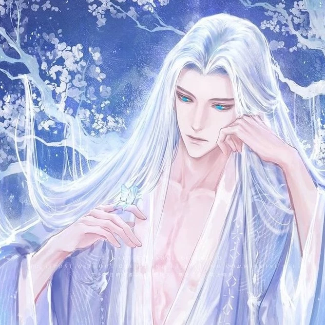 Shin 