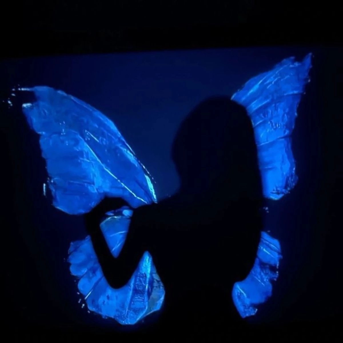 Sayu